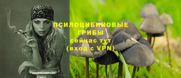 амф Аркадак